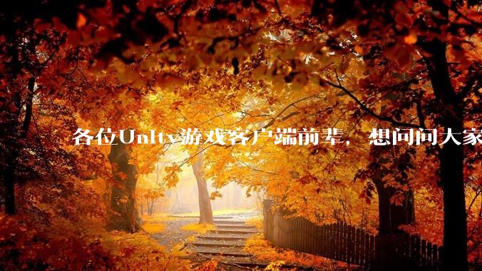 各位Unity游戏客户端前辈，想问问大家要找到一份工作还需要学什么?