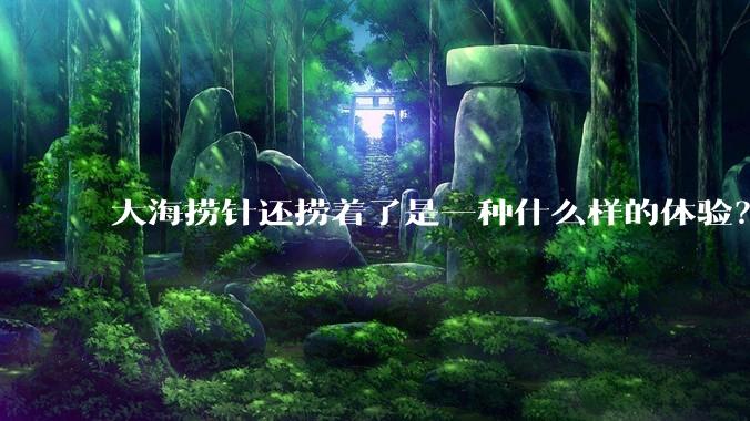 大海捞针还捞着了是一种什么样的体验？