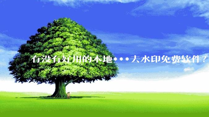 有没有好用的本地***去水印免费软件？