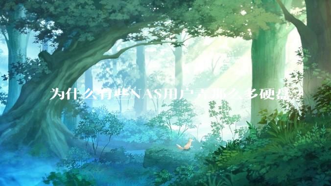 为什么有些NAS用户弄那么多硬盘?